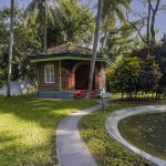 yoga for mental health