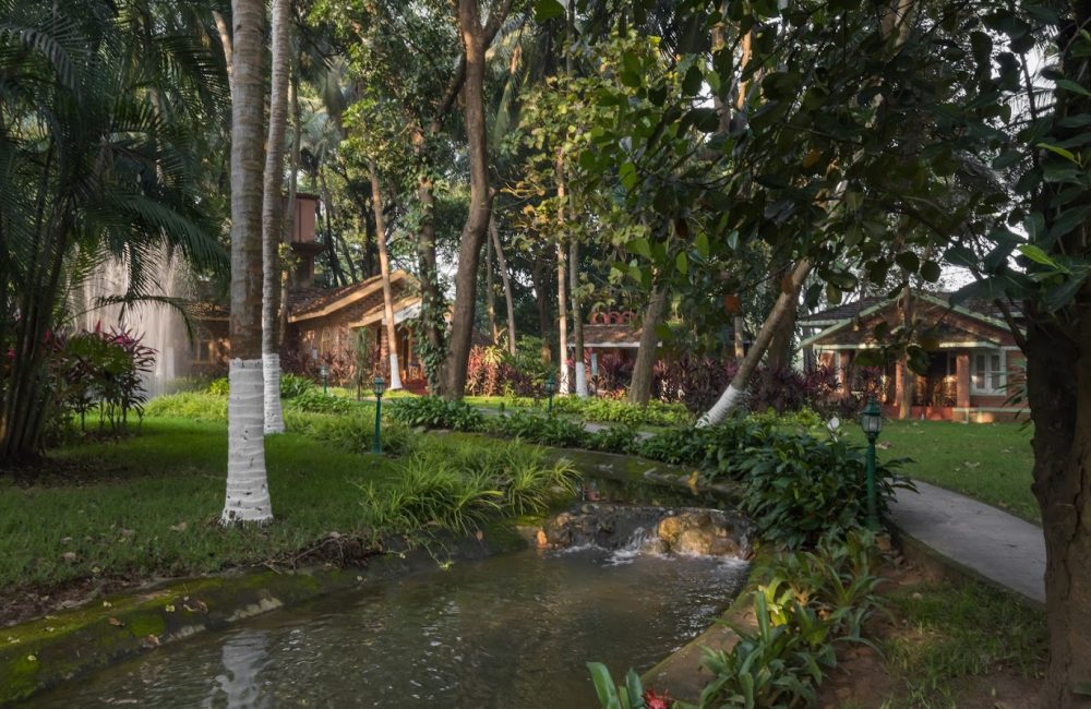 ayurvedic retreat in india