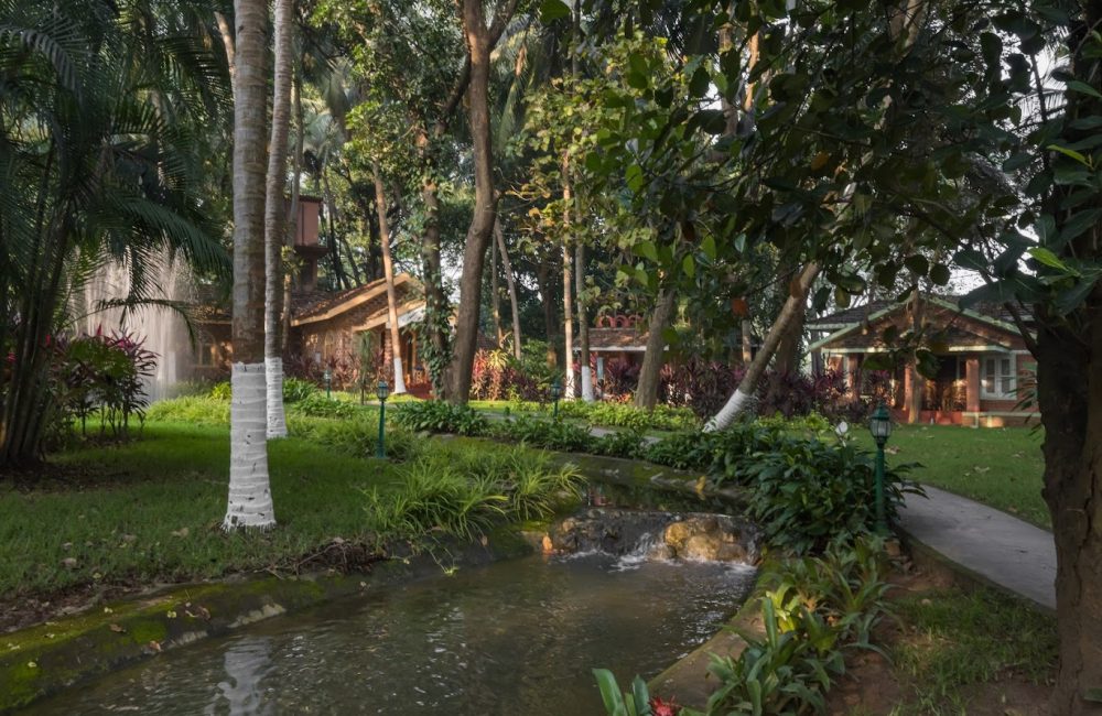 Modern Wellness with Ancient Ayurveda