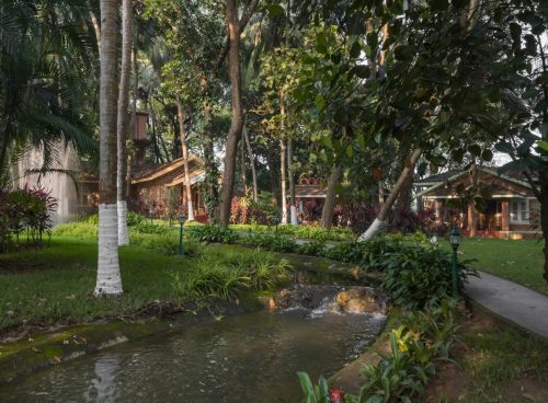 Modern Wellness with Ancient Ayurveda
