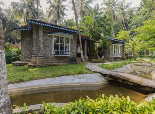best ayurveda & yoga retreat