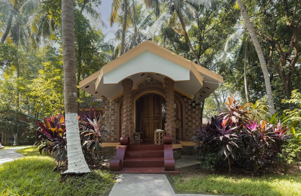 monsoon wellness through ayurveda