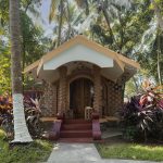monsoon wellness through ayurveda
