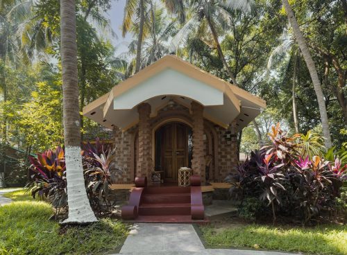 monsoon wellness through ayurveda