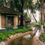 holistic approach to ayurveda