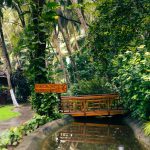 panchakarma retreat