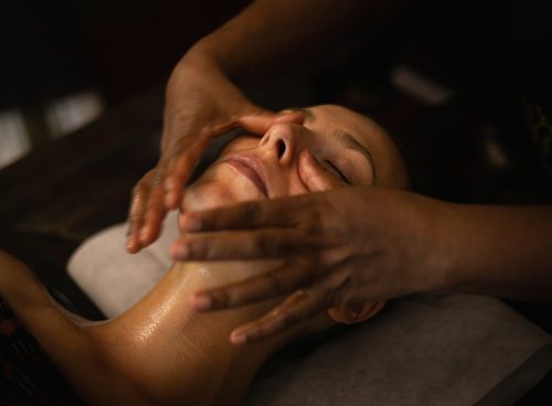 ayurveda and detoxification program