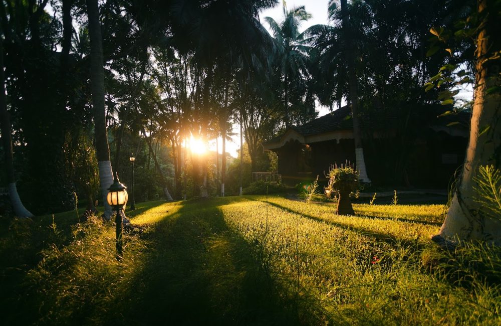 explore lush greenery of the healing village