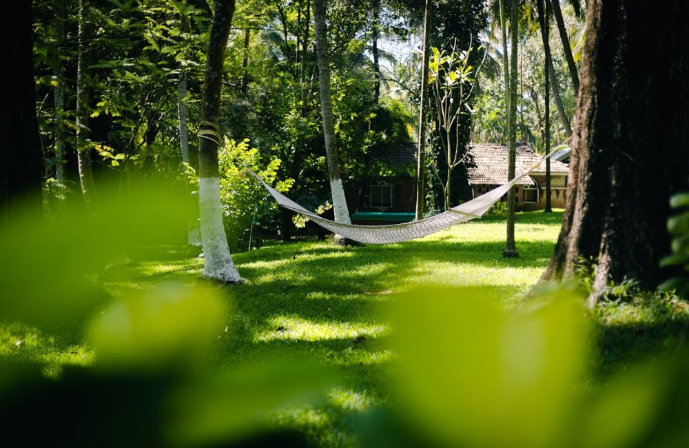 rediscover authentic ayurveda
