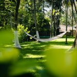 rediscover authentic ayurveda