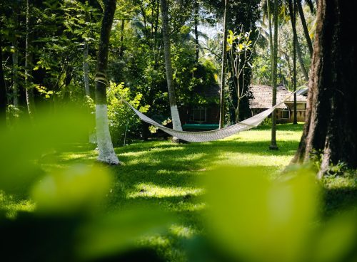 rediscover authentic ayurveda