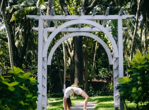 yoga and meditation training