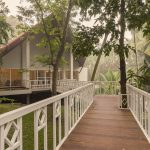 yoga and meditation program