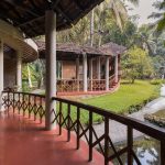Ayurvedic Approaches to Maintaining Healthy Habits During Festivities