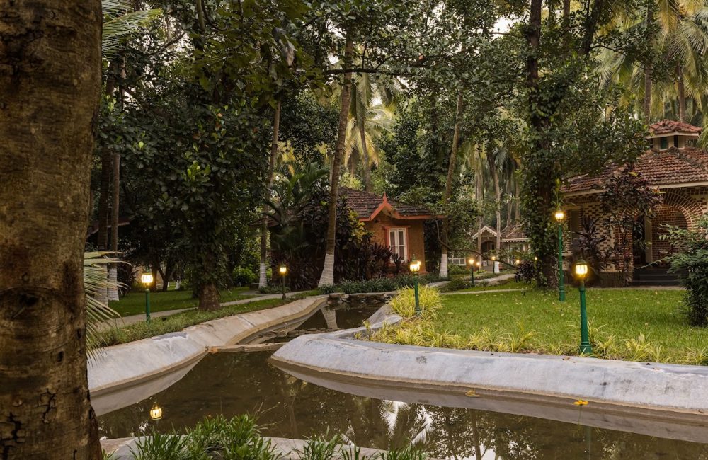 ayurvedic practices for winter rituals