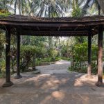 yoga for mental health