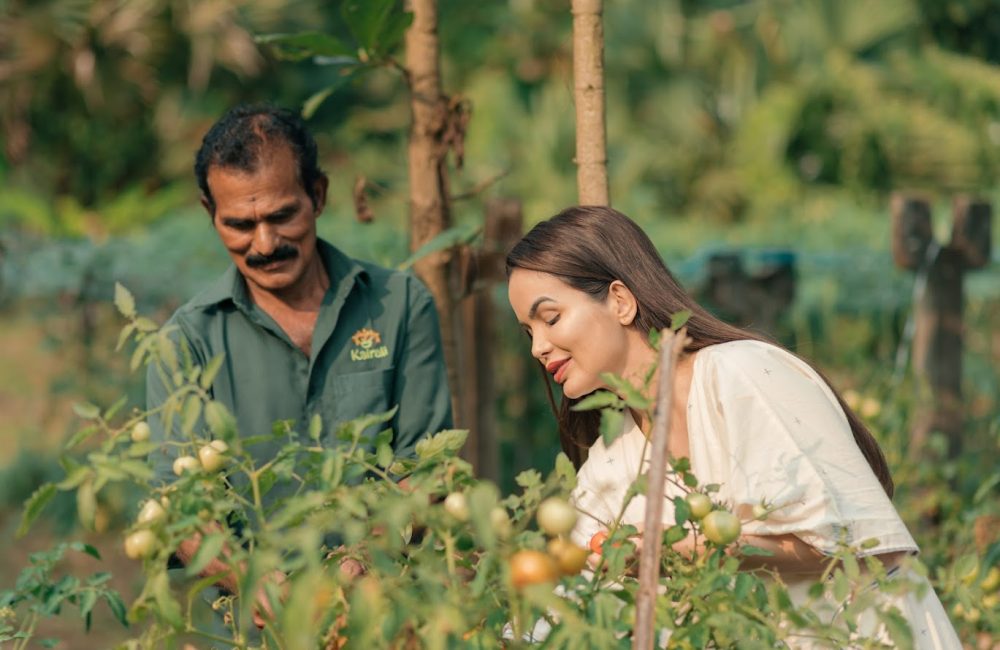 ayurveda healing