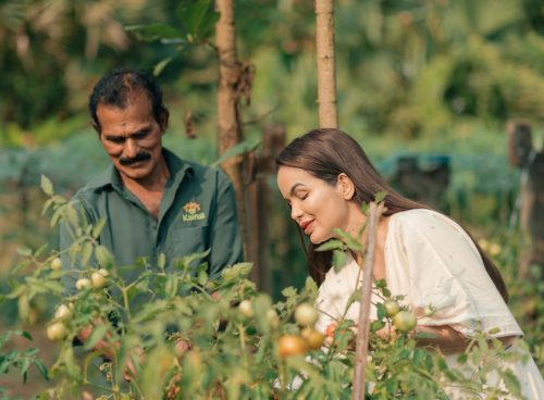 ayurveda healing
