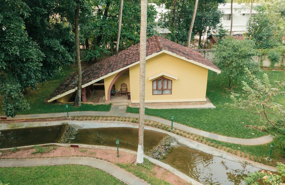 yoga and ayurveda treatment