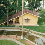 yoga and ayurveda treatment