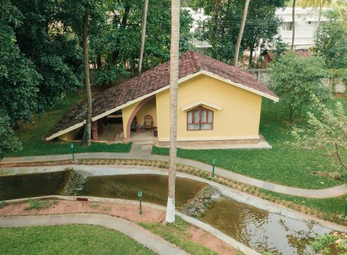 yoga and ayurveda treatment