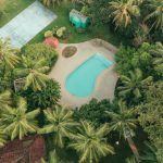 rediscover wellness through ayurveda