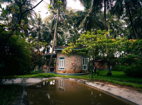 yoga retreat in kerala