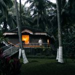 yoga and ayurveda practices to incorporate