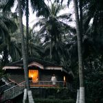 embrace kapha season