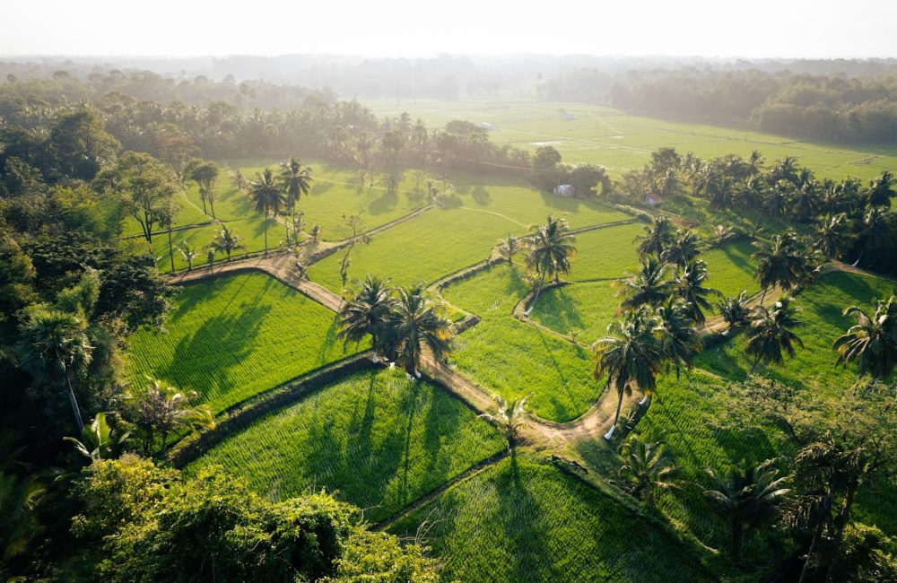 connecting with nature through ayurveda