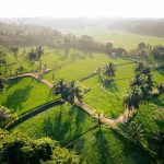 connecting with nature through ayurveda
