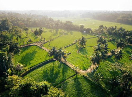 connecting with nature through ayurveda