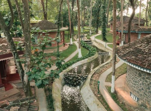 winter wellness through ayurveda