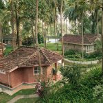 ayurvedic tips to follow to combat pollution