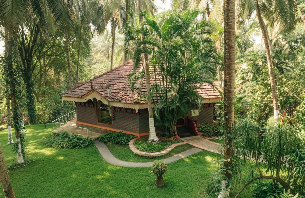 hormonal balance through ayurveda