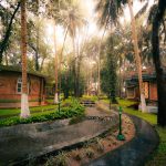embrace ayurvedic fitness