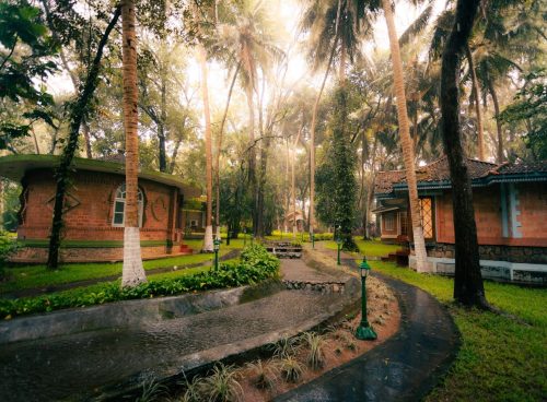 embrace ayurvedic fitness