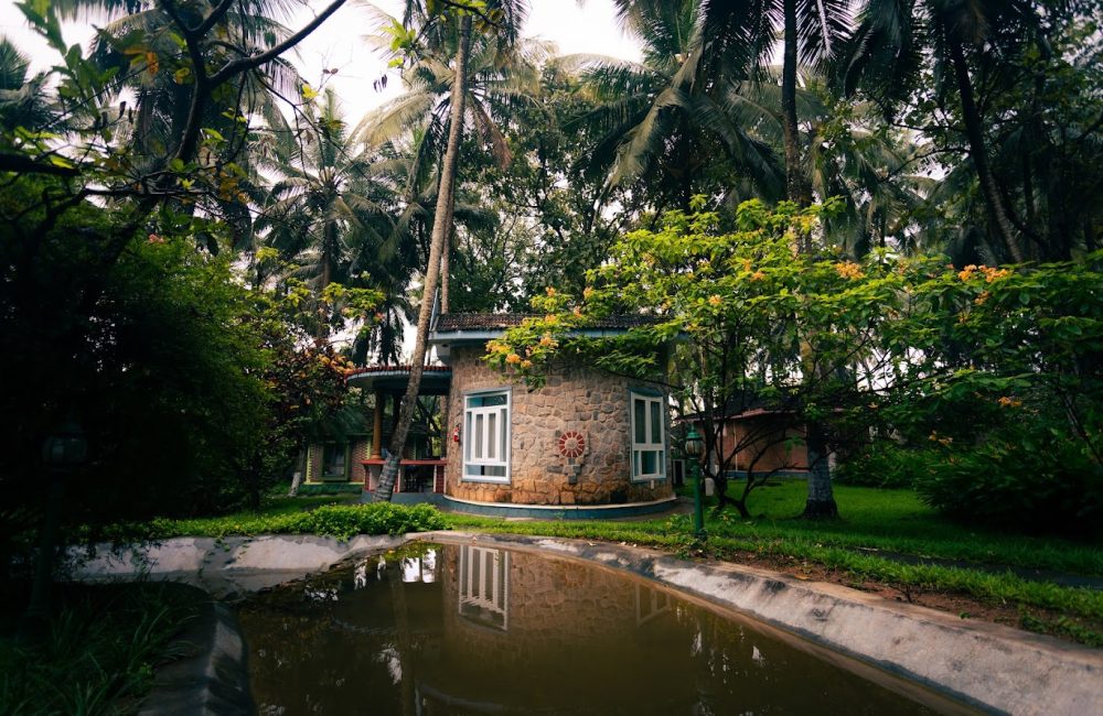 transformative journey through panchakarma