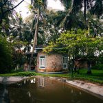 transformative journey through panchakarma