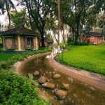 holistic transformation through ayurveda