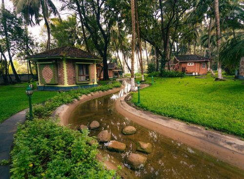 holistic transformation through ayurveda