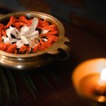 boost immunity through ayurvedic herbs