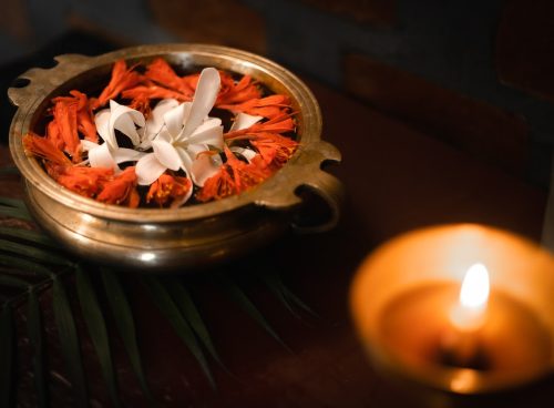 boost immunity through ayurvedic herbs