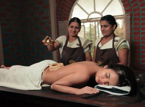 holistic healing through ayurveda