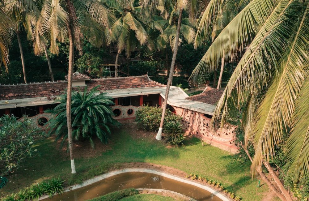holistic wellness through ayurveda