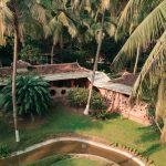 holistic wellness through ayurveda