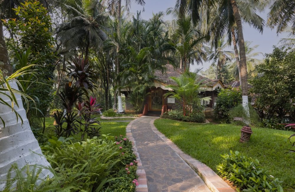 Discover panchakarma