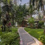 Discover panchakarma