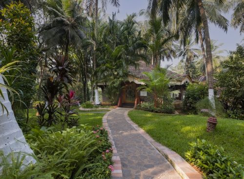 Discover panchakarma