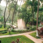 Kairali the ayurvedic healing village is featured for Must-Visit Wellness Retreats in India
